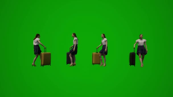 Boyutlu Animasyon Beyaz Kadın Yeşil Ekran Alışveriş Torbaları Seyahat — Stok video