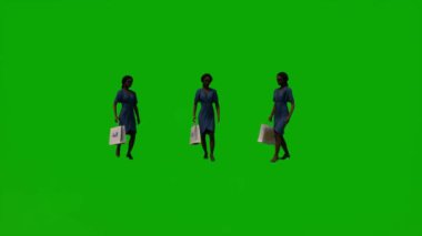 3D siyah Afrikalı hizmetçi kadın. Yeşil ekran. Geziyor ve ev için alışveriş yapıyor.