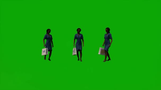 Zwart Afrikaans Meisje Vrouw Groen Scherm Reizen Winkelen Voor Thuis — Stockvideo
