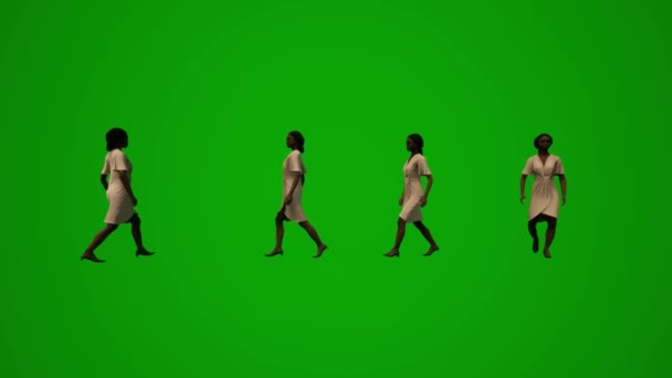 3D绿屏非洲黑人女佣跳舞和派对的豪宅几个不同的观点 — 图库视频影像