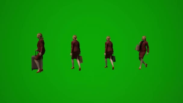 Анімація Кількох Європейських Жінок Модераторів Зелених Магазинах Шопінговим Візком Подорожей — стокове відео