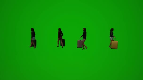 3Dアフリカの女性の緑の画面旅行やスーツケースやハンドバッグいくつかの移動角度とショッピング — ストック動画