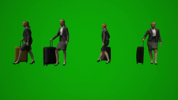 Анімація Кілька Європейських Жінок Модераторів Зелені Магазини Шопінгом Подорожі Валізою — стокове відео
