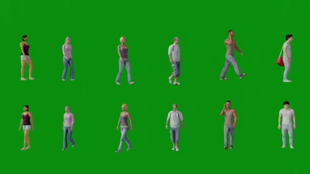 3Dいくつかのヨーロッパ移民男性と女性休暇中緑の画面で歩くでアメリカのビーチタウンで高品質4K隔離された背景 — ストック動画