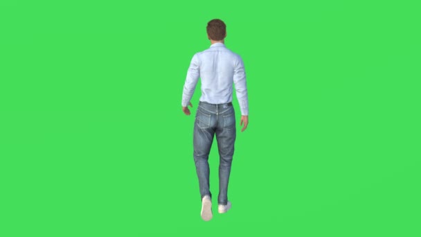 Verde Pantalla Animación Del Viajero Hombre Caminando Viendo Isla Playa — Vídeos de Stock