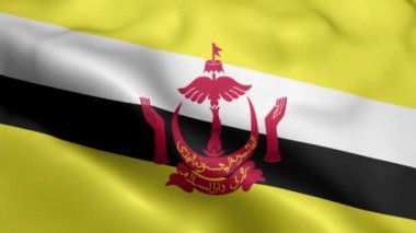 Brunei Flag 'ın rüzgarda dalgalanan videosu. Brunei Bayrak Dalgası Döngüsü rüzgarda sallanıyor. Gerçekçi Brunei Flag geçmişi. Brunei Bayrak Döngüsü Kapanışı 1080p Tam HD 1920X1080 görüntüsü. Brunei bayrağı sallıyor. Ulusal 3d