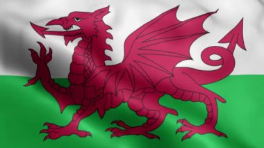 Wales Flag 'in rüzgarda dalgalanan videosu. Galler Bayrak Dalgası Döngüsü rüzgarda dalgalanıyor. Gerçekçi Galler Bayrağı geçmişi. Galler Bayrak Döngüsü Kapanışı 1080p Tam HD 1920X1080 görüntü. Galler bayrak sallıyor. Ulusal 3d Galler