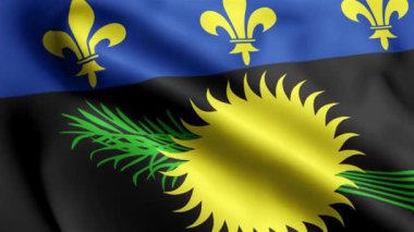 Guadeloupe Flag 'ın rüzgarda dalgalanan videosu. Guadeloupe Bayrak Dalgası Döngüsü rüzgarda sallanıyor. Gerçekçi Guadeloupe Bayrak geçmişi. Guadeloupe Bayrak Döngüsü Kapanışı 1080p Tam HD 1920X1080 görüntü. Guadeloupe dalgası