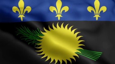 Guadeloupe Flag 'ın rüzgarda dalgalanan videosu. Guadeloupe Bayrak Dalgası Döngüsü rüzgarda sallanıyor. Gerçekçi Guadeloupe Bayrak geçmişi. Guadeloupe Bayrak Döngüsü Kapanışı 1080p Tam HD 1920X1080 görüntü. Guadeloupe dalgası