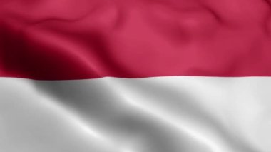 Monaco Flag 'in rüzgarda dalgalanan videosu. Monaco Bayrak Dalgası Döngüsü rüzgarda dalgalanıyor. Gerçekçi Monako Bayrağı geçmişi. Monaco Bayrak Döngüsü Kapanışı 1080p Tam HD 1920X1080 görüntü. Monako bayrağı sallıyor. Ulusal 3d