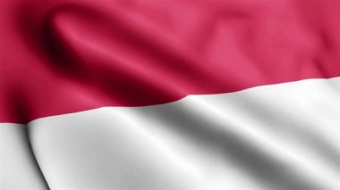 Monaco Flag 'in rüzgarda dalgalanan videosu. Monaco Bayrak Dalgası Döngüsü rüzgarda dalgalanıyor. Gerçekçi Monako Bayrağı geçmişi. Monaco Bayrak Döngüsü Kapanışı 1080p Tam HD 1920X1080 görüntü. Monako bayrağı sallıyor. Ulusal 3d