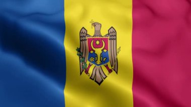Moldova Bayrağı 'nın rüzgarda dalgalanan videosu. Moldova Bayrak Dalgası Döngüsü rüzgarda dalgalanıyor. Gerçekçi Moldova Bayrağı geçmişi. Moldova Bayrak Döngüsü Kapanışı 1080p Tam HD 1920X1080 görüntü. Moldova bayrağı sallıyor. Ulusa