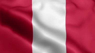 Peru bayrağının rüzgarda dalgalanan videosu. Peru Bayrak Dalgası Döngüsü rüzgarda sallanıyor. Gerçekçi Peru bayrağı geçmişi. Peru Bayrak Döngüsü Kapanışı 1080p Tam HD 1920X1080 görüntü. Peru bayrağı sallıyor. Ulusal 3d Peru bayrağı