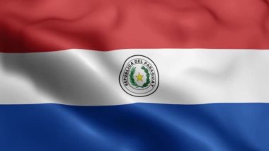 Paraguay bayrağının rüzgarda dalgalanan videosu. Paraguay Bayrak Dalgası Döngüsü rüzgarda dalgalanıyor. Gerçekçi Paraguay Bayrağı geçmişi. Paraguay Bayrak Döngüsü Kapanışı 1080p Tam HD 1920X1080 görüntü. Paraguay bayrağı sallıyor. Hayır.