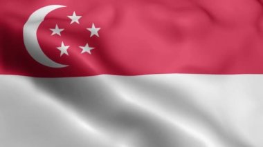 Singapur Bayrağı 'nın rüzgarda sallanan videosu. Singapur Bayrak Dalgası Döngüsü rüzgarda dalgalanıyor. Gerçekçi Singapur Bayrağı geçmişi. Singapur Bayrak Döngüsü Kapanışı 1080p Tam HD 1920X1080 görüntü. Singapur el sallıyor