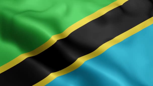 탄자니아 국기가 바람에 흔들고 있습니다 탄자니아에서는 바람에 흔들리고 있습니다 탄자니아의 — 비디오