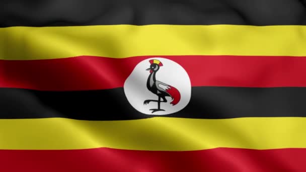 Uganda Flag Video Waving Wind Uganda Flag Wave Loop Waving — Stock Video