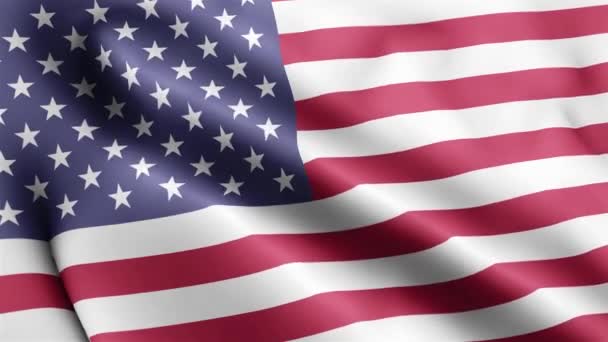 Förenta Staternas Mindre Öar Yttre Randområden Flagg Video Vinkar Vinden — Stockvideo