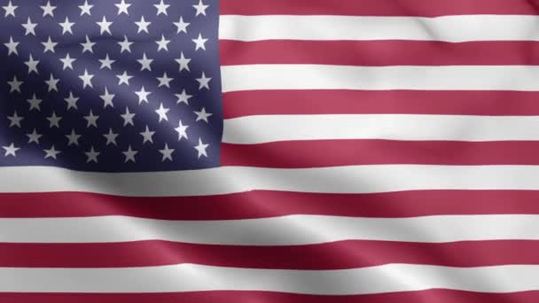 Usa Flagga Video Vinkar Vinden Förenta Staternas Flagga Wave Loop — Stockvideo