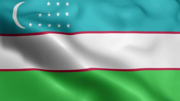Uzbekistan Flagga Video Viftar Vinden Uzbekistan Flagga Vågen Loop Vinkar — Stockvideo