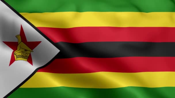 Film Zimbabwe Flag Falujący Wietrze Zimbabwe Flag Wave Loop Falujące — Wideo stockowe