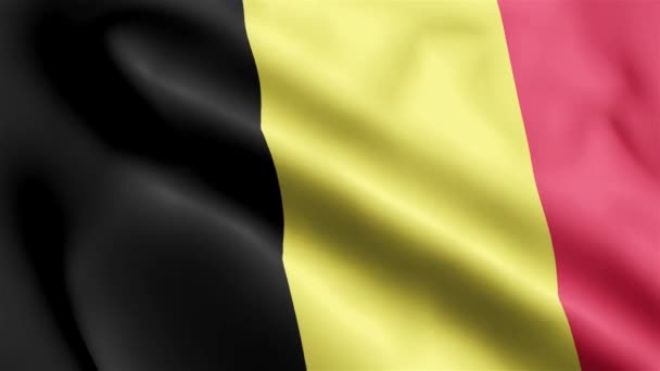 Belgie Vlajkové Video Vlnící Větru Belgie Vlajková Smyčka Vlnící Větru — Stock video