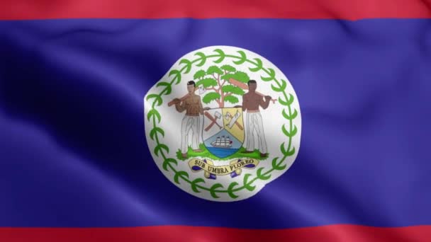 Wideo Belize Flag Falujące Wietrze Belize Flag Wave Loop Macha — Wideo stockowe