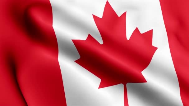 加拿大国旗视频在风中飘扬 加拿大国旗波浪环在风中飘扬 现实的加拿大国旗背景 加拿大国旗环路闭路1080P全Hd 1920X1080镜头 加拿大挥动国旗 本国D — 图库视频影像