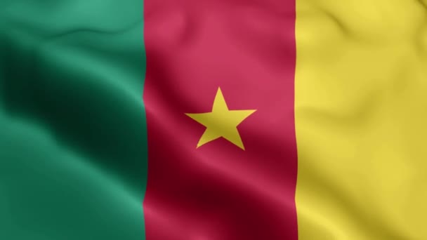 Kamerunská Vlajka Video Vlnění Větru Kamerunská Vlajková Vlna Vlní Větru — Stock video