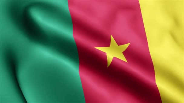 Kamerun Flagga Video Vinkar Vinden Kamerun Flagga Vågen Loop Vinkar — Stockvideo