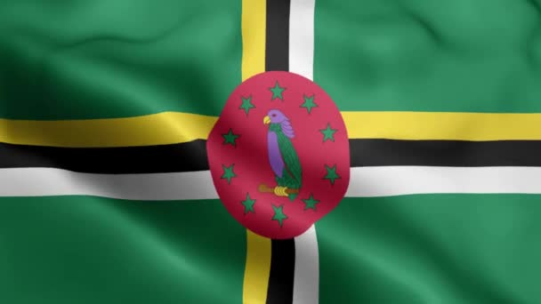 Dominika Vlajkové Video Vlnící Větru Dominica Flag Wave Loop Vlnící — Stock video
