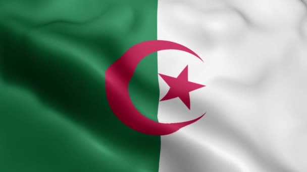 Algerien Flagge Weht Wind Algeriens Flagge Weht Wind Realistische Algerische — Stockvideo