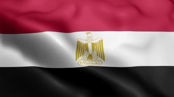 이집트 국기가 바람에 흔들고 있습니다 이집트 국기흔들기 바람에 이집트의 이집트 — 비디오