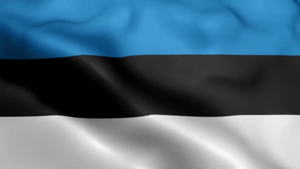 Estonsko Vlajkové Video Vlnící Větru Estonsko Vlajková Smyčka Vlnící Větru — Stock video