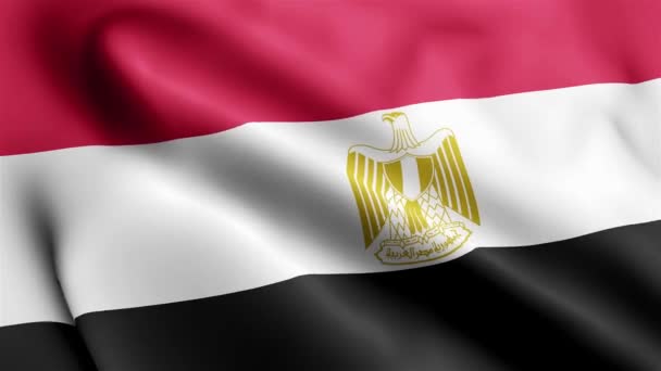 Egipt Wideo Flaga Macha Wietrze Egipt Flaga Pętla Falowa Falująca — Wideo stockowe