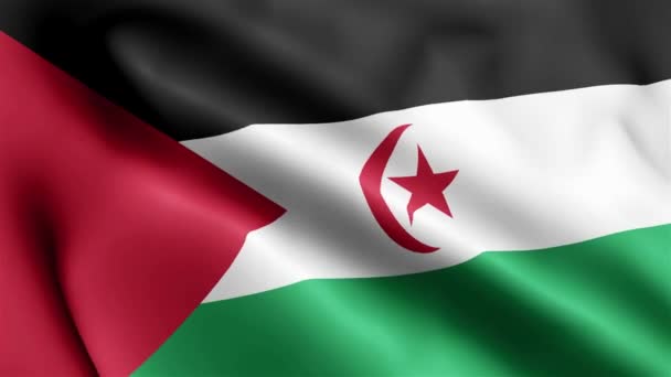 Západní Saharská Vlajka Video Vlnění Větru Západní Saharská Vlajková Smyčka — Stock video