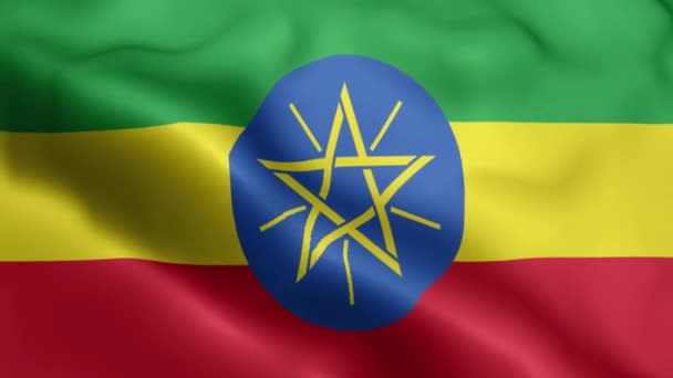 埃塞俄比亚国旗视频在风中飘扬 埃塞俄比亚国旗波浪环在风中飘扬 现实的埃塞俄比亚国旗背景 Ethiopia Flag Looping Closeup 1080P Full 1920X1080 — 图库视频影像
