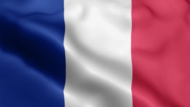 프랑스 바람에 흔들리는 플래그 비디오 프랑스 바람에 흔들리는 깃발흔들기 프랑스의 — 비디오