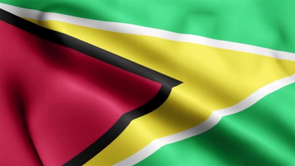 Guyana Flag Rüzgarda Dalgalanan Videosu Guyana Bayrak Dalgası Döngüsü Rüzgarda — Stok video