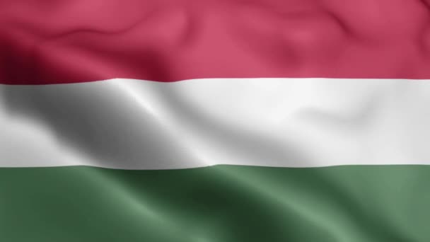 헝가리 국기가 바람에 흔들고 있습니다 헝가리 바람에 흔들리는 깃발흔들기 헝가리 — 비디오