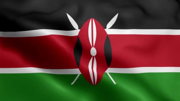 국기가 바람에 흔들고 있습니다 플래그 웨이브 바람에 흔들기 케냐의 플래그 — 비디오