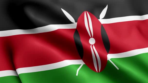 국기가 바람에 흔들고 있습니다 플래그 웨이브 바람에 흔들기 케냐의 플래그 — 비디오