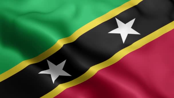 Saint Kitts Nevis Flag Video Zwaaiend Wind Saint Kitts Nevis — Stockvideo