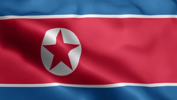 朝鲜国旗视频在风中飘扬 朝鲜国旗波浪环在风中飘扬 现实的朝鲜国旗背景 朝鲜国旗环路闭路1080P全Hd 1920X1080镜头 北朝鲜 — 图库视频影像
