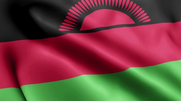 Malawi Drapeau Vidéo Agitant Dans Vent Malawi Flag Wave Boucle — Video