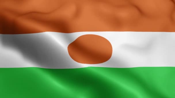 Niger Flag Video Zwaaiend Wind Niger Flag Wave Loop Zwaait — Stockvideo