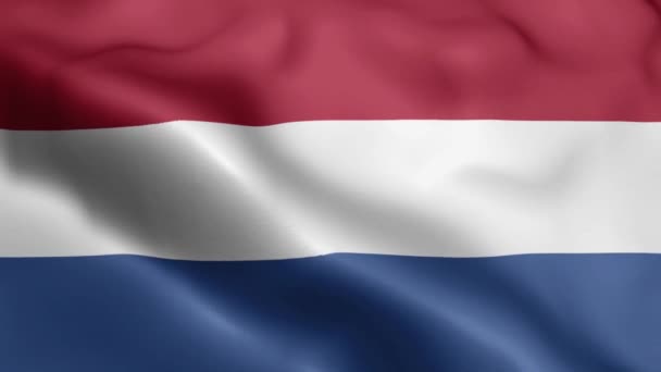 Голландский Флаг Видео Размахивает Ветром Флаг Нидерландов Волновая Петля Машет — стоковое видео