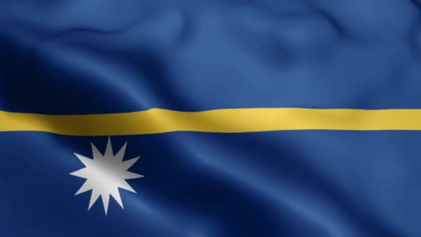 바람에 흔들고 깃발의 바람에 흔들리는 Realistic Nauru Flag Background Nauru — 비디오