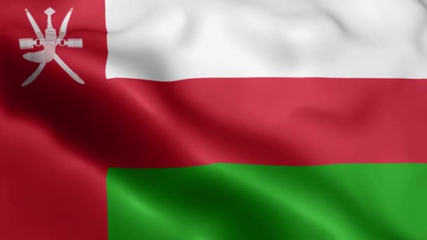 Video Oman Flag Vlní Větru Ománská Vlajková Smyčka Vlní Větru — Stock video