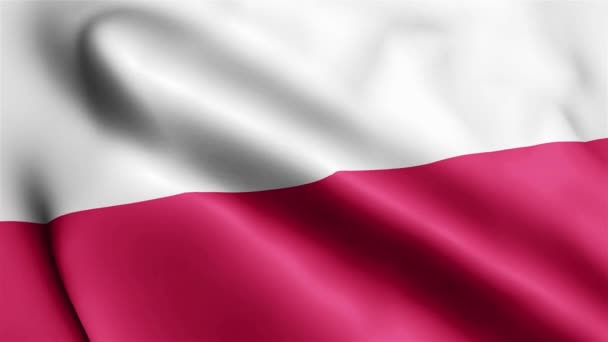 Polonia Bandera Vídeo Ondeando Viento Polonia Bandera Wave Loop Ondeando — Vídeo de stock